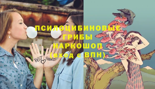 дживик Алзамай