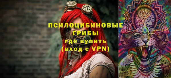 дживик Алзамай